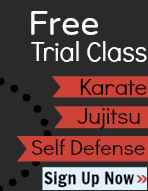 Free Trial Martial Arts Class in Holliston, MA